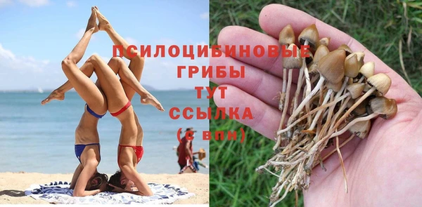 скорость mdpv Белокуриха