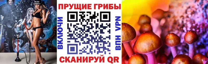 omg ТОР  Городовиковск  Галлюциногенные грибы мухоморы  купить наркоту 